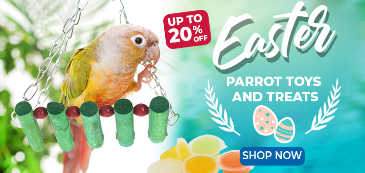 Easter Parrot Toys &  Treats for Your Feathered Companion