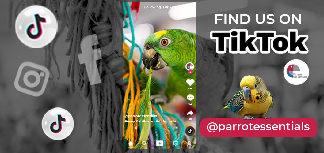 Find Parrot Essentials on TikTok!